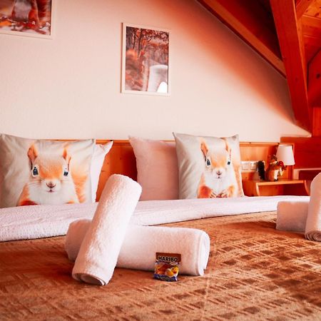 House Of Happiness By Apartmentglueck Schluchsee Zewnętrze zdjęcie